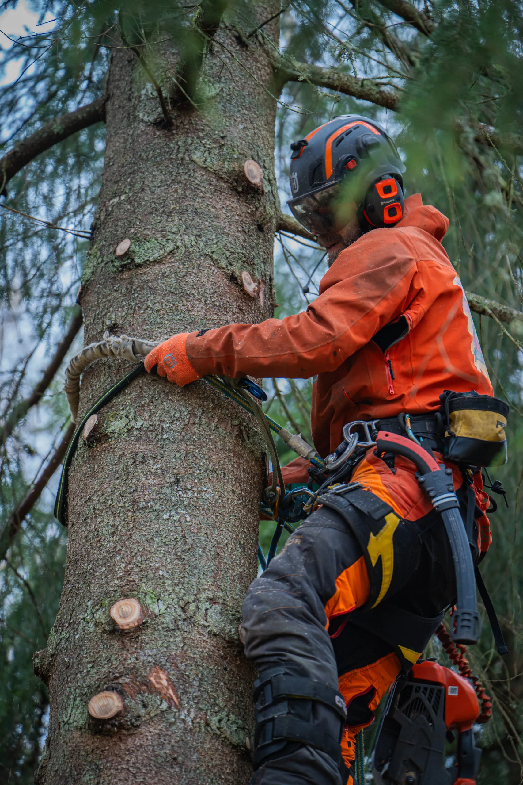 Stubbfräsning i Alingsås