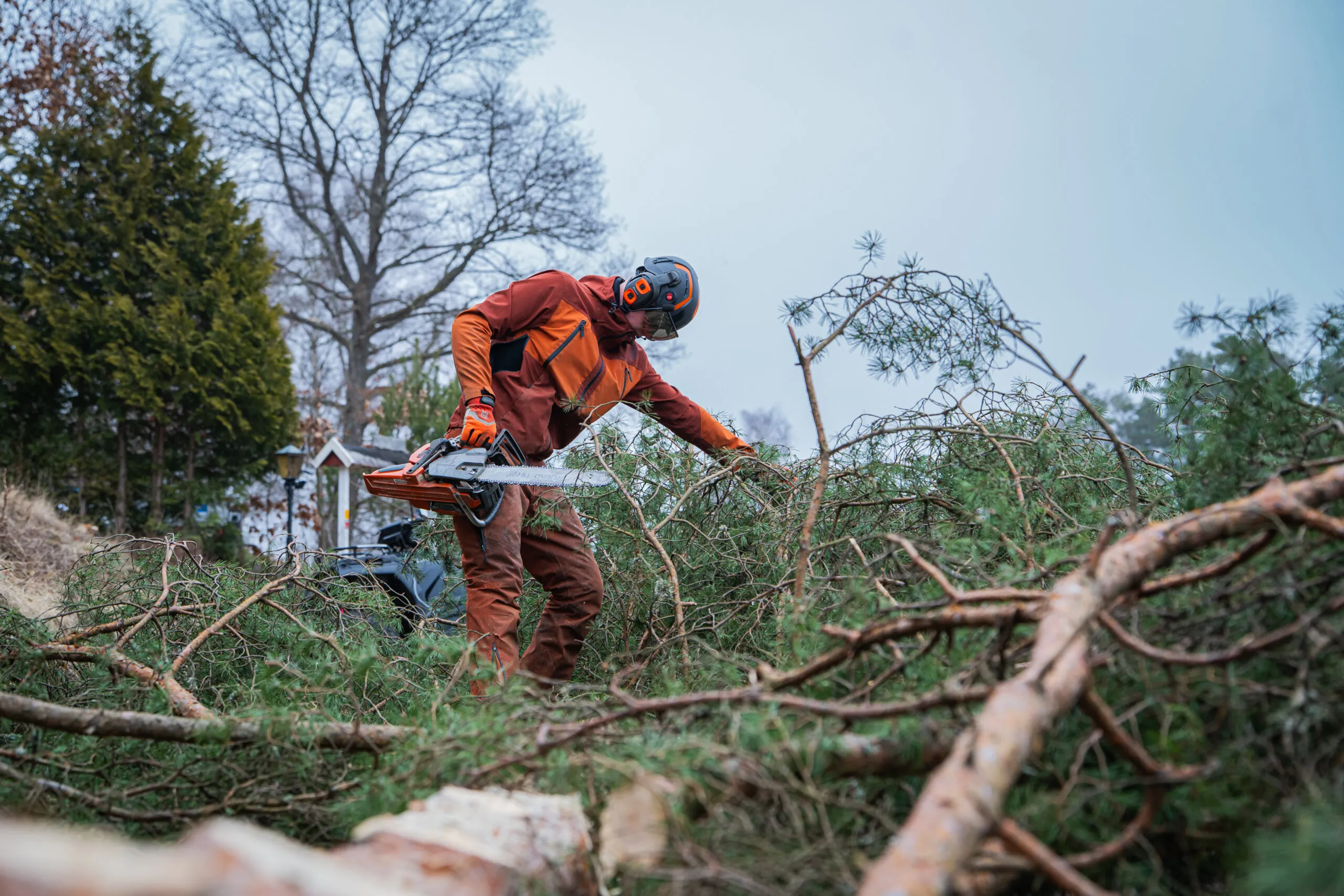 Arborist i arbete