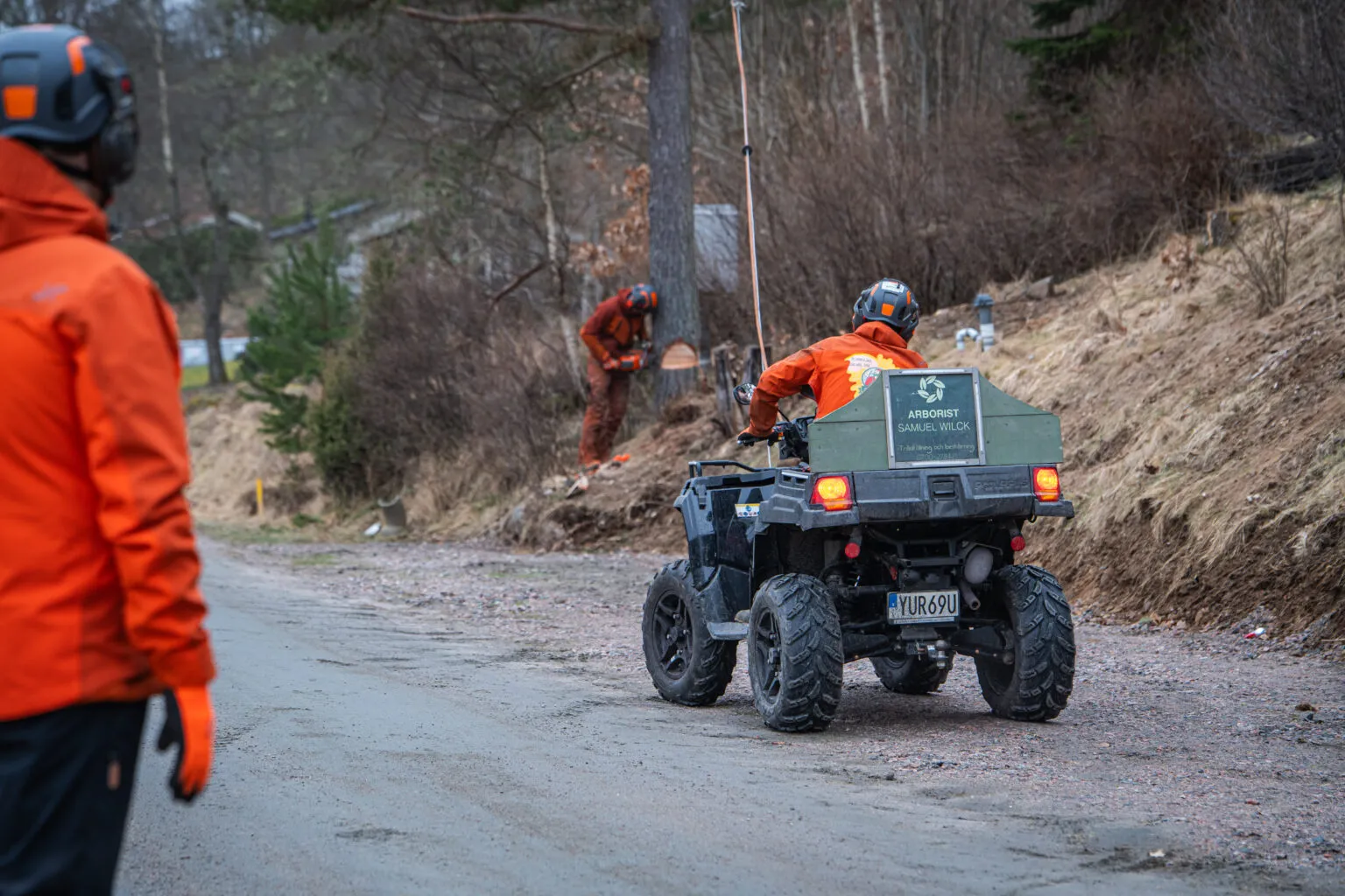 Trädfällning projekt